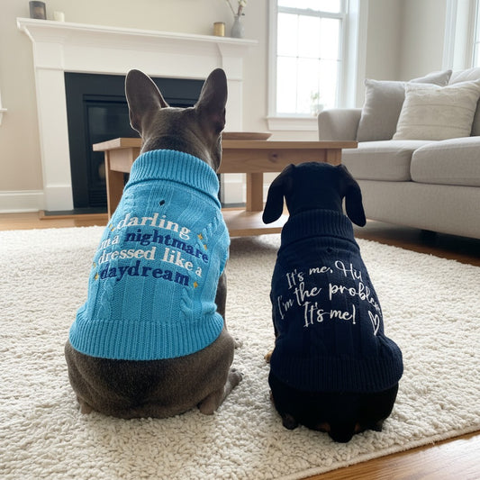 Swiftie Doggy Sweaters